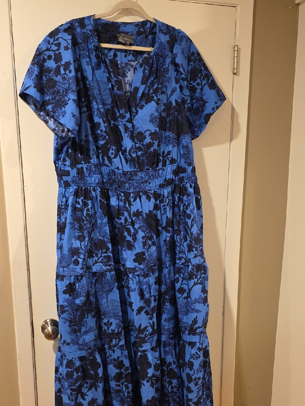 Anthropologie Blue Floral Short-Sleeve Maxi Dress